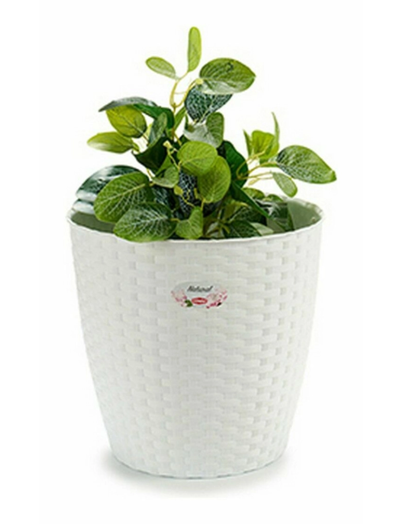 imagem de Plantador Stefanplast Branco Plástico 29 x 27 x 29 cm (6 Unidades)3