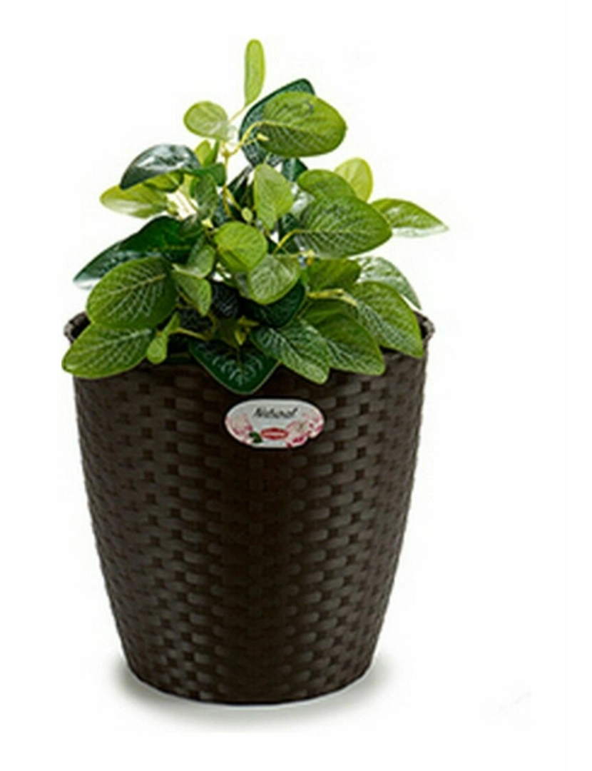 imagem de Plantador Stefanplast Plástico 29 x 26,5 x 29 cm (6 Unidades)3