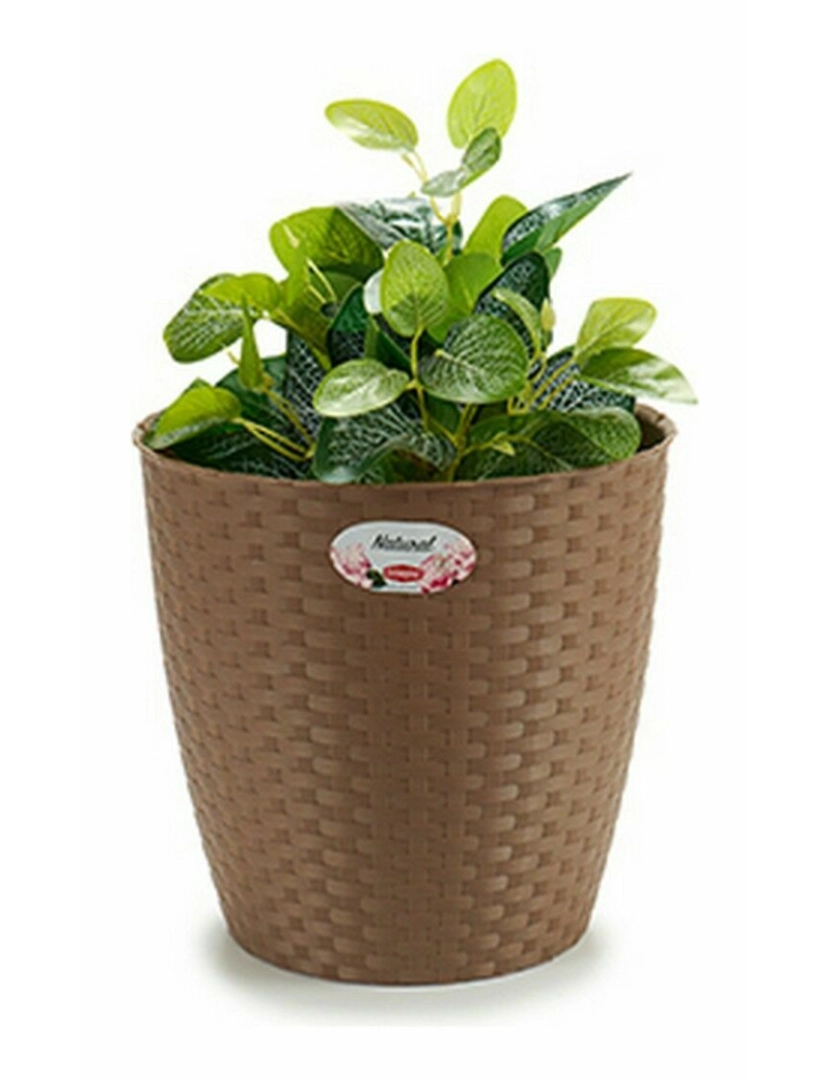 imagem de Plantador Stefanplast Castanho Plástico 29 x 27 x 29 cm (6 Unidades)3