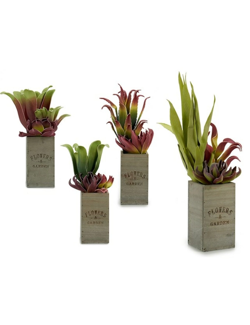 imagem de Planta Decorativa Flowers Garden Castanho Verde 10 x 50 x 10 cm (4 Unidades)2