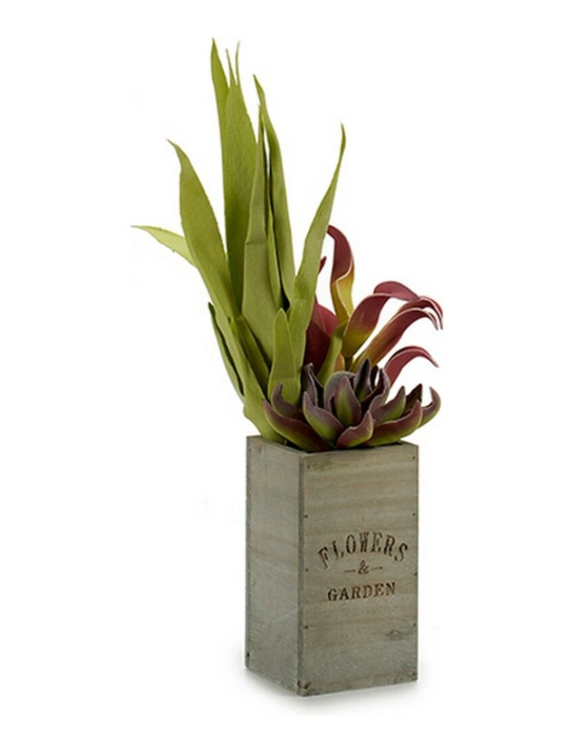 imagem de Planta Decorativa Flowers Garden Castanho Verde 10 x 50 x 10 cm (4 Unidades)3