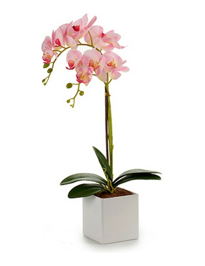 imagem de Planta Decorativa Orquídea 18 x 47 x 14 cm Plástico (6 Unidades)2