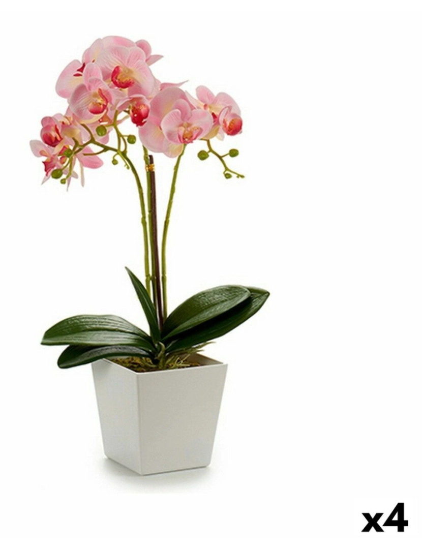 Ibergarden - Planta Decorativa Orquídea 20 x 47 x 33 cm Plástico (4 Unidades)