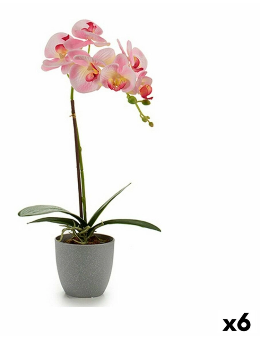 Ibergarden - Planta Decorativa Orquídea Plástico 13 x 39 x 22 cm (6 Unidades)