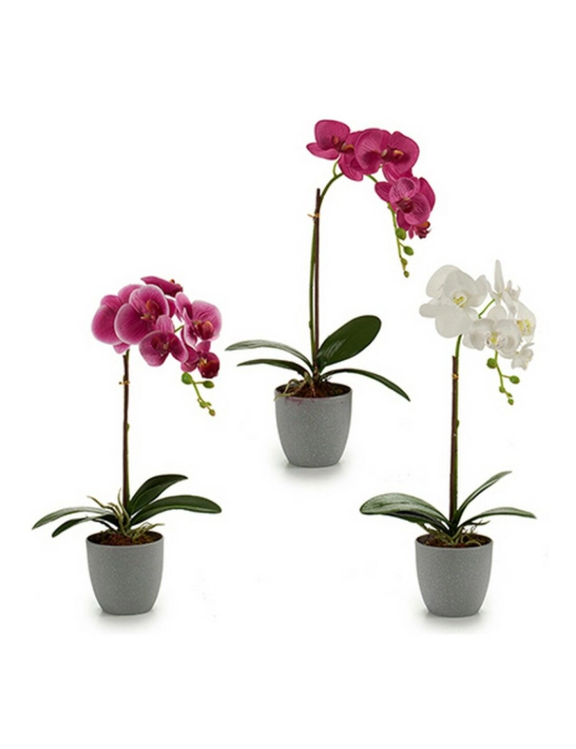 imagem de Planta Decorativa Orquídea Plástico 13 x 39 x 22 cm (6 Unidades)2