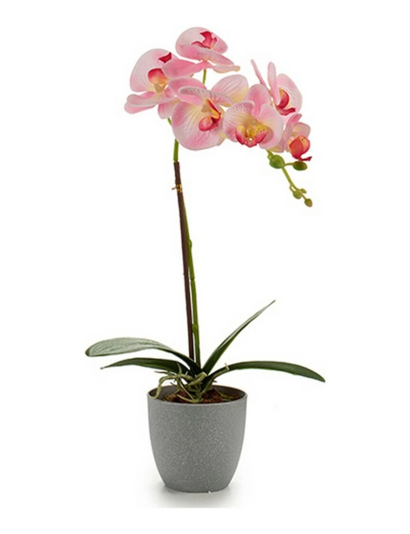 imagem de Planta Decorativa Orquídea Plástico 13 x 39 x 22 cm (6 Unidades)3