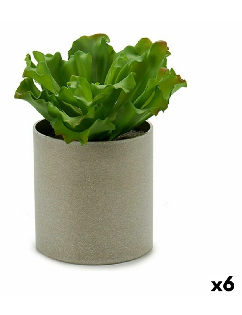 Ibergarden - Planta Decorativa 20 x 25 x 20 cm (6 Unidades)