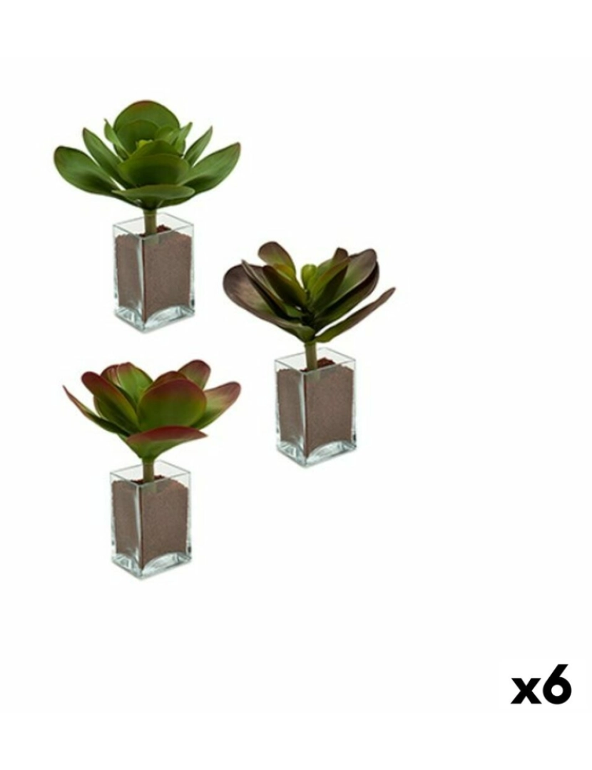 Ibergarden - Planta Decorativa Folhas Grande Duas cores Plástico 27 x 29 x 27 cm (6 Unidades)