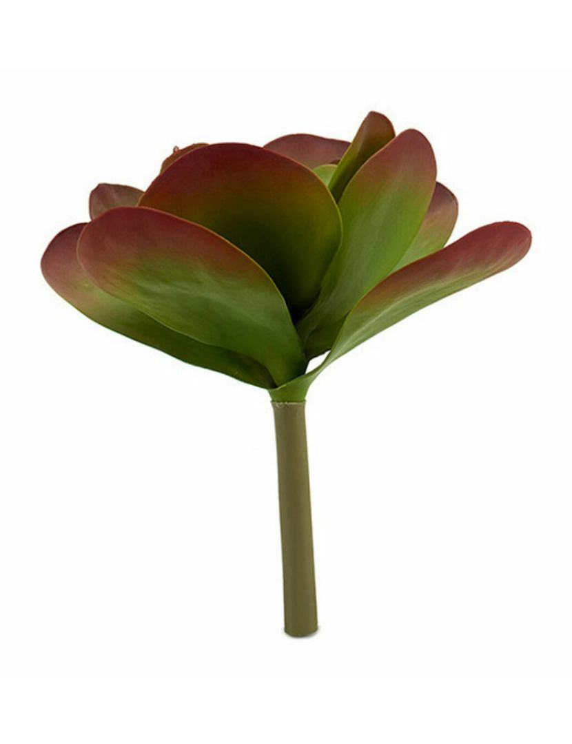 imagem de Planta Decorativa Folhas Grande Duas cores Plástico 27 x 29 x 27 cm (6 Unidades)2