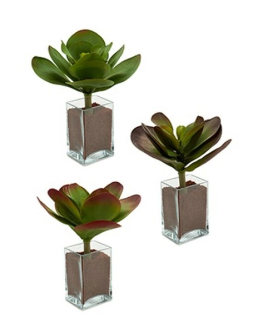 imagem de Planta Decorativa Folhas Grande Duas cores Plástico 27 x 29 x 27 cm (6 Unidades)3