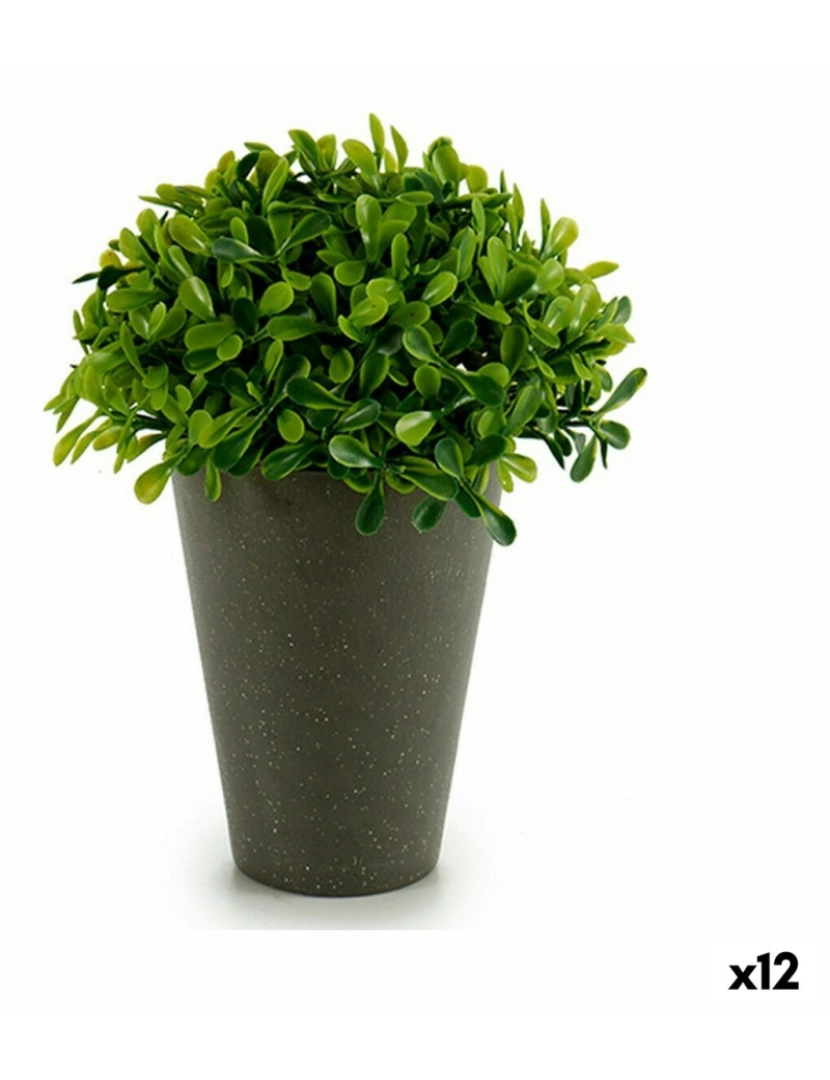 Ibergarden - Planta Decorativa Plástico 13 x 16 x 13 cm Verde Cinzento (12 Unidades)