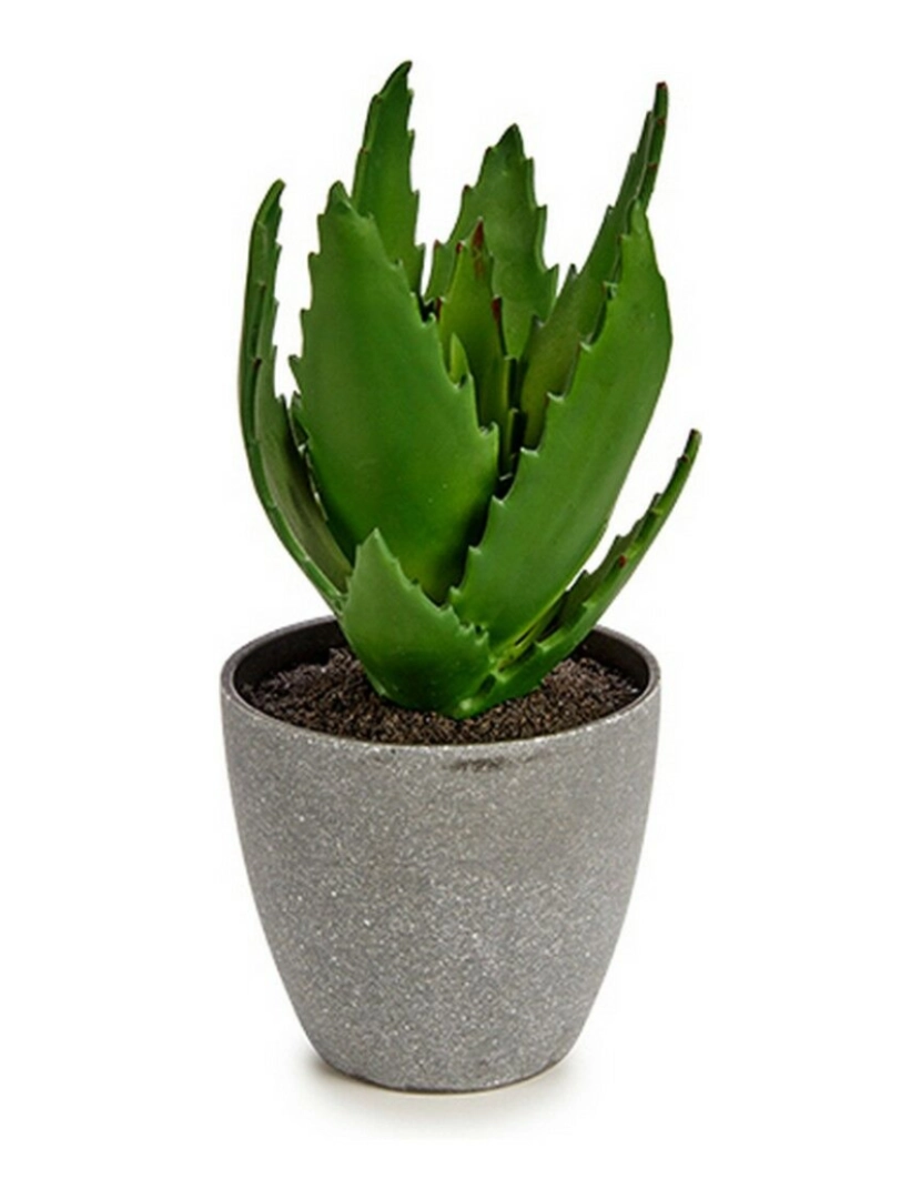 imagem de Planta Decorativa Aloé Vera 14 x 21 x 14 cm Cinzento Verde Plástico (6 Unidades)2