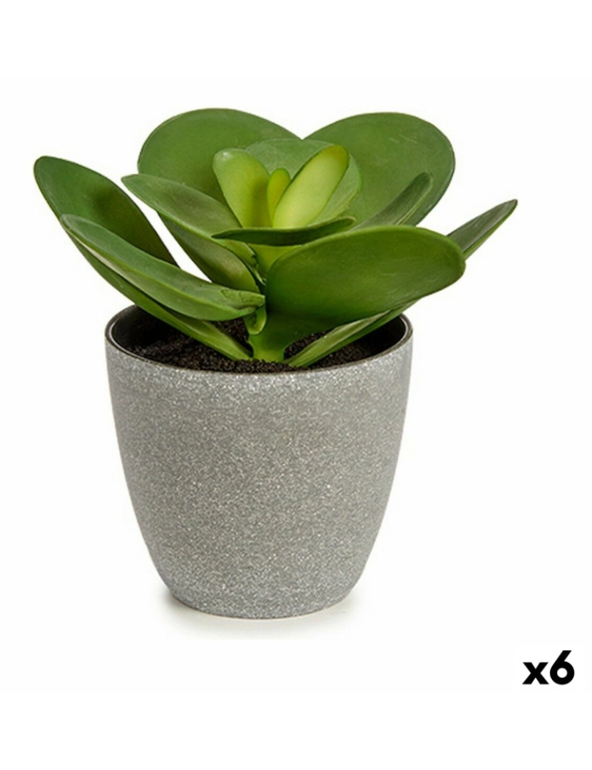 Ibergarden - Planta Decorativa 18 x 18,5 x 18 cm Cinzento Verde Plástico (6 Unidades)