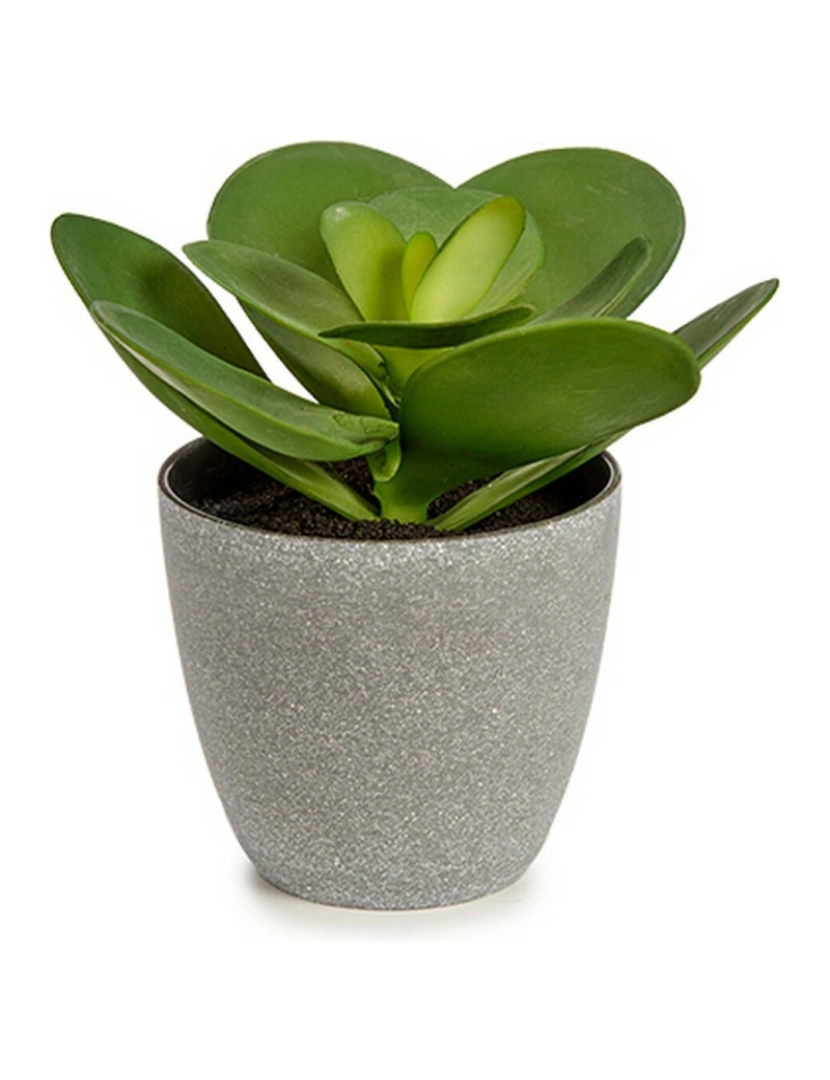 imagem de Planta Decorativa 18 x 18,5 x 18 cm Cinzento Verde Plástico (6 Unidades)2