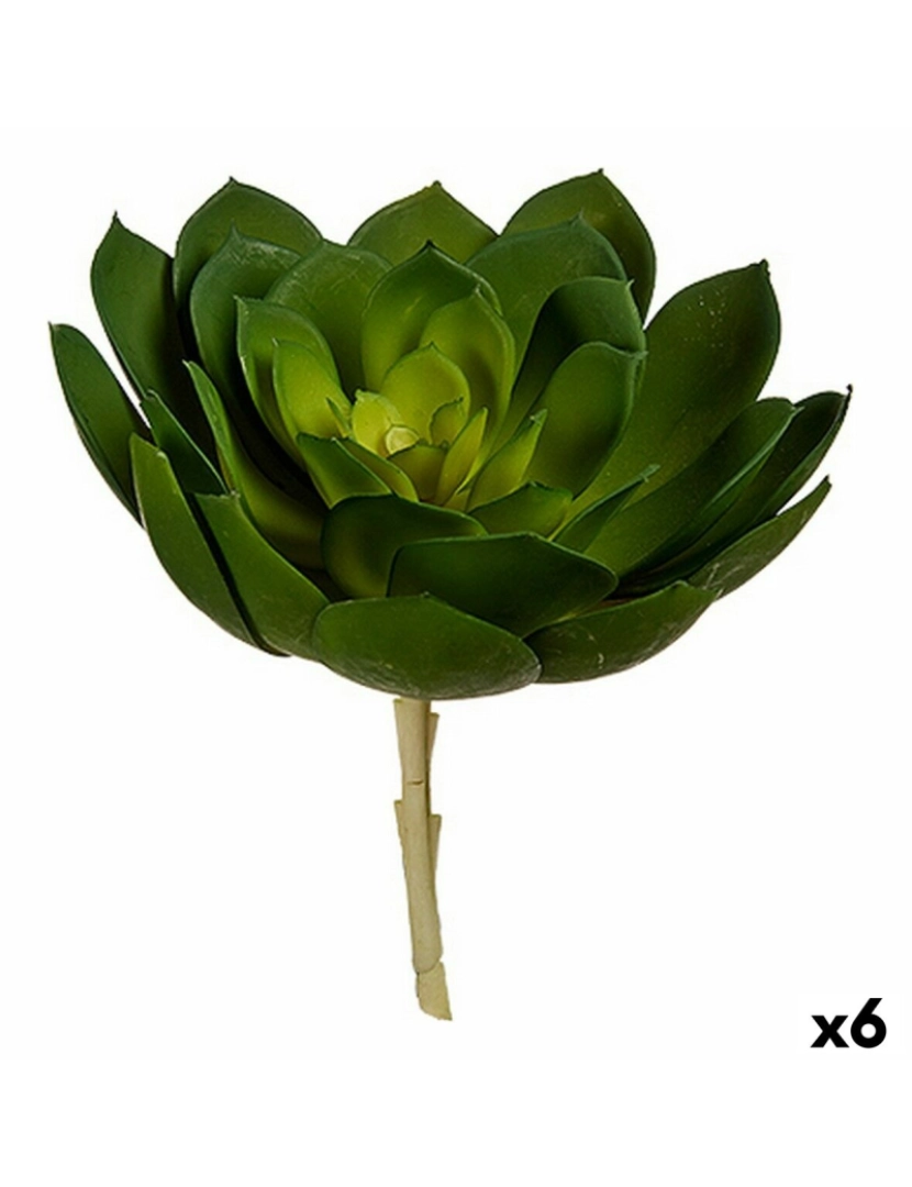Ibergarden - Planta Decorativa 22 x 19 x 19 cm Verde Plástico (6 Unidades)