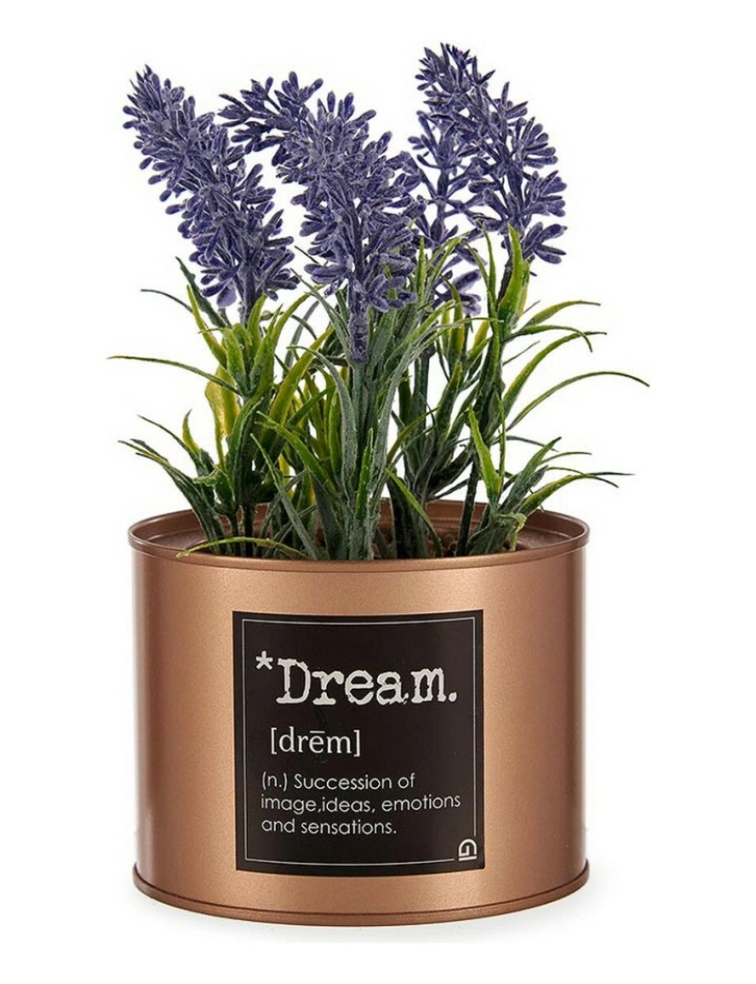 imagem de Planta Decorativa Lavanda Lata Roxo Metal Cobre Verde Plástico 10 x 18 x 10 cm (6 Unidades)2