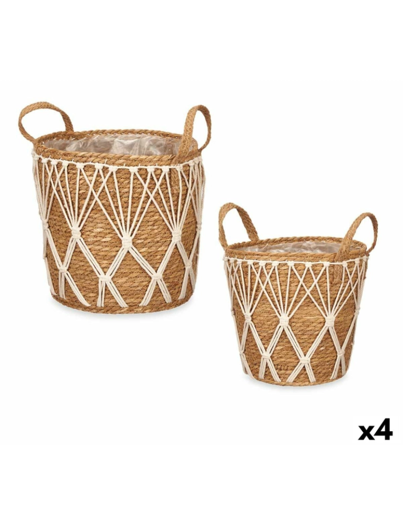 Gift Decor - Conjunto de vasos 2 Peças Natural Algas marinhas (4 Unidades)