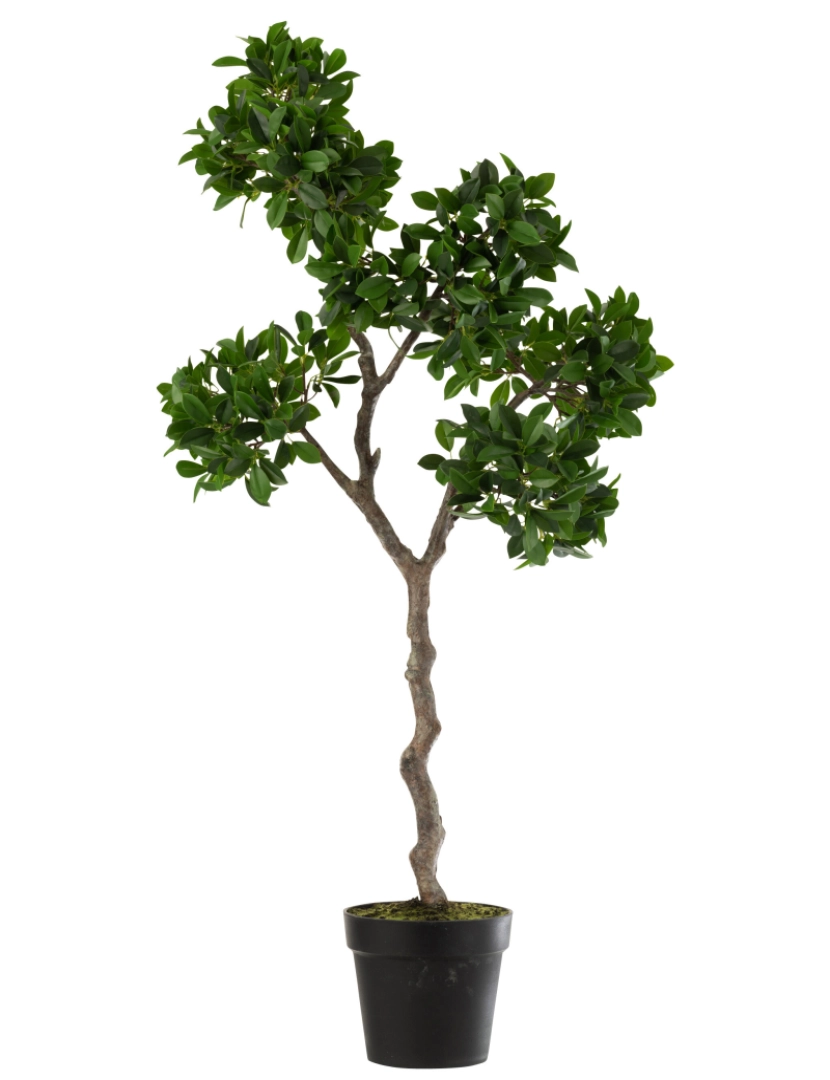 J-Line - J-Line Ficus verde/preto grande pote de plástico