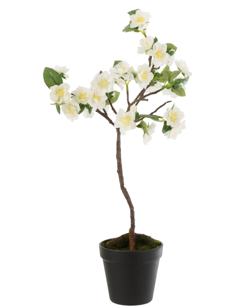 J-Line - J-Line árvore flores de plástico branco/marron pequeno
