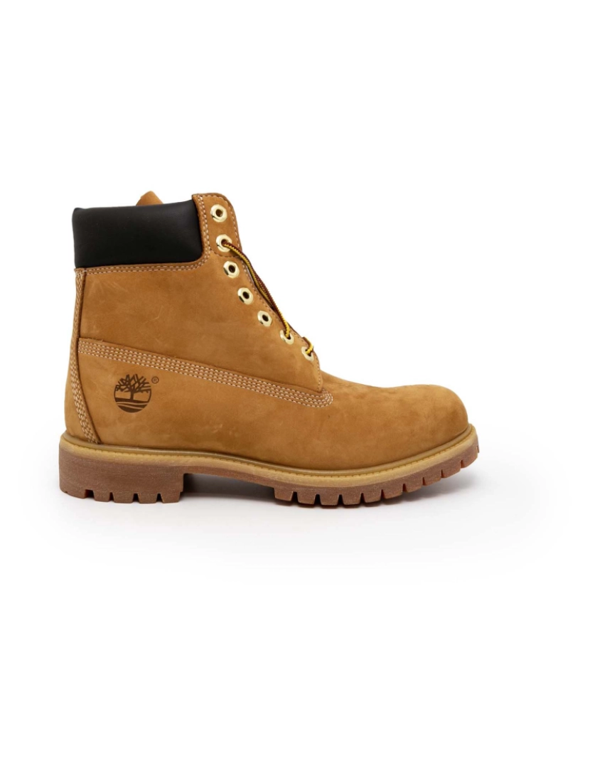 Timberland - Botas Timberland 6In Prem Marrom