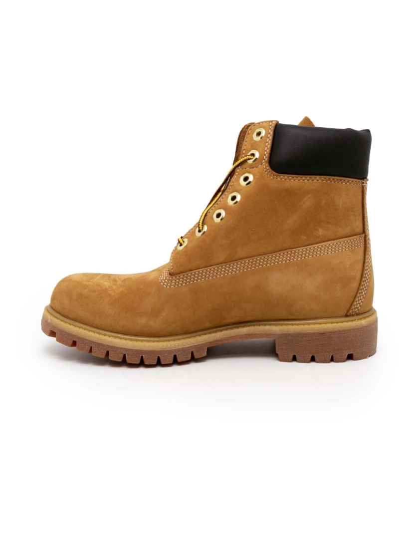 imagem de Botas Timberland 6In Prem Marrom2