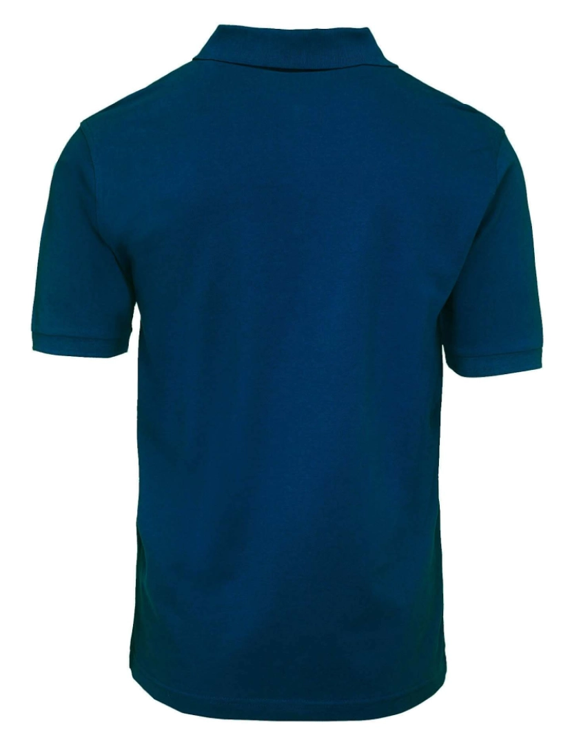 imagem de Camisa Polo Errea Team Color 2012 Ad Mc Azul2
