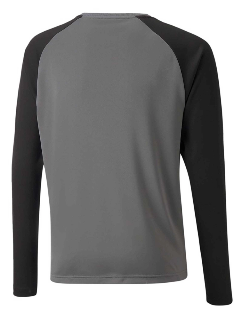 imagem de Camiseta Puma Teampacer Gk Ls Jersey Jr2