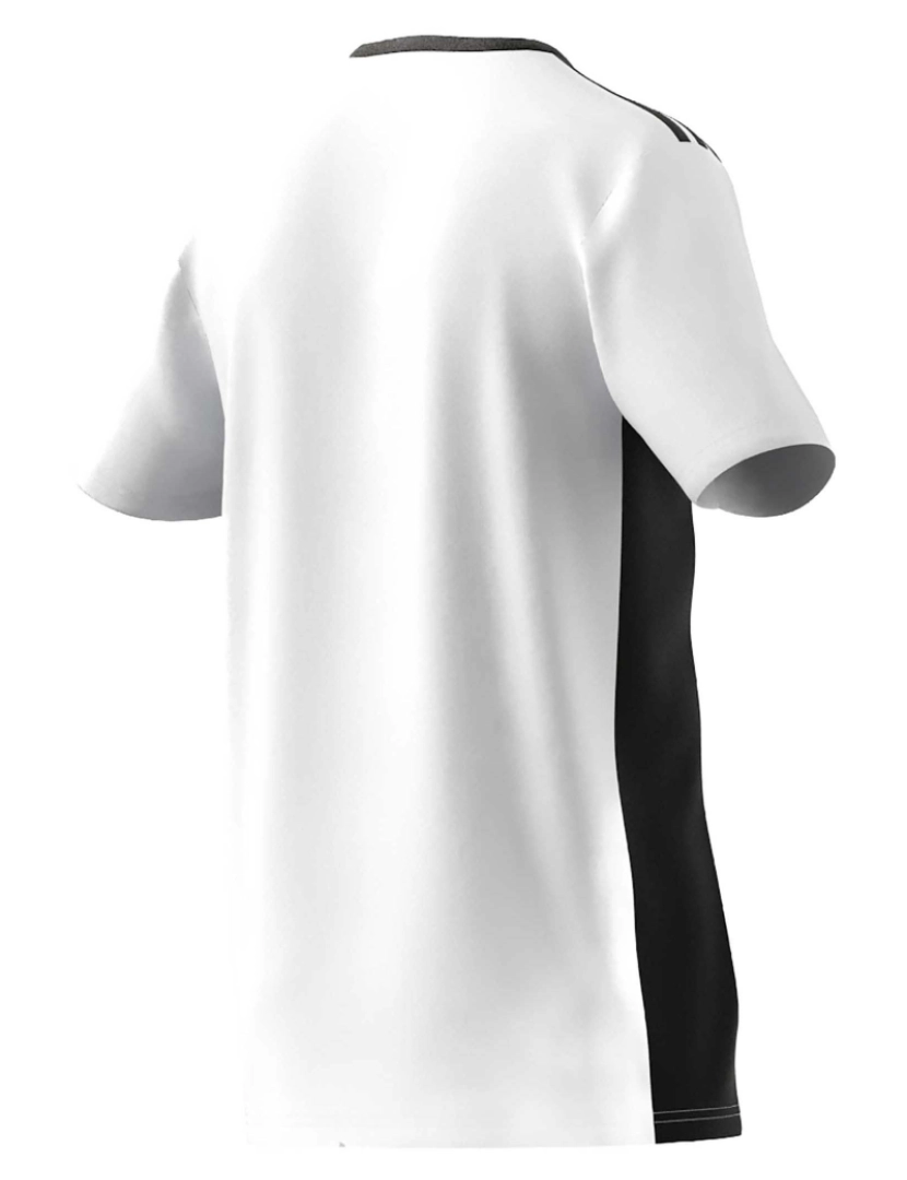 imagem de Adidas Sport Entrada 18 Jsy T-Shirt Branco4