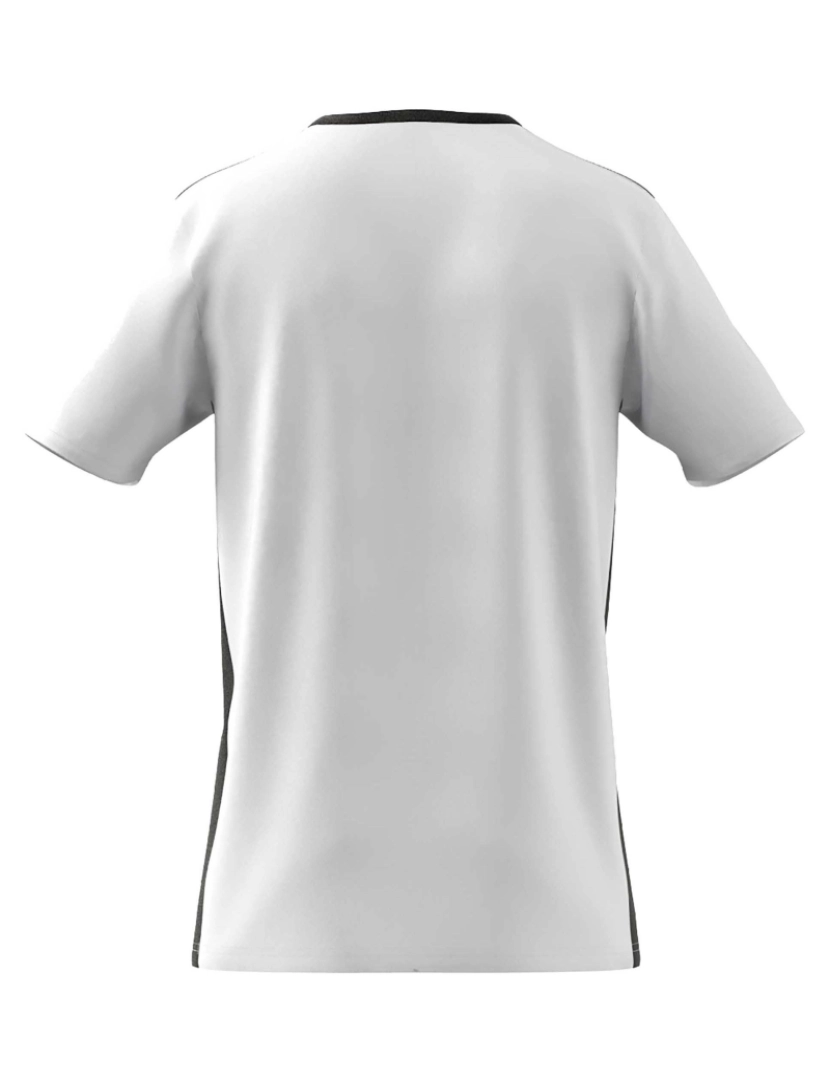 imagem de Adidas Sport Entrada 18 Jsy T-Shirt Branco5