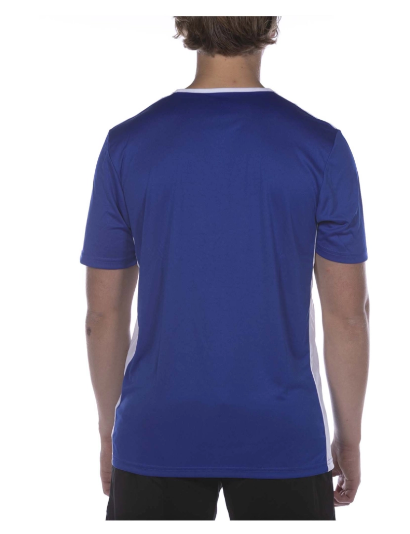imagem de Adidas Sport Entrada 18 Jsy Royal Blue T-Shirt3