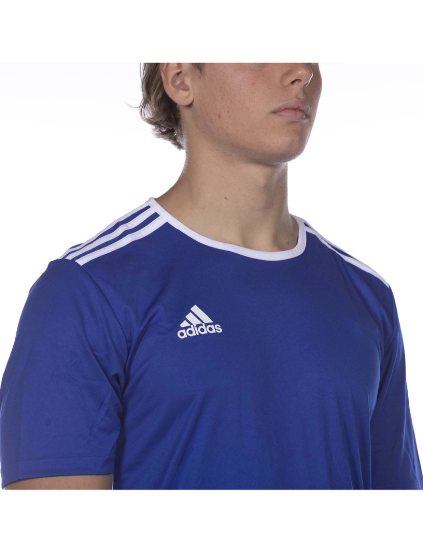 imagem de Adidas Sport Entrada 18 Jsy Royal Blue T-Shirt4