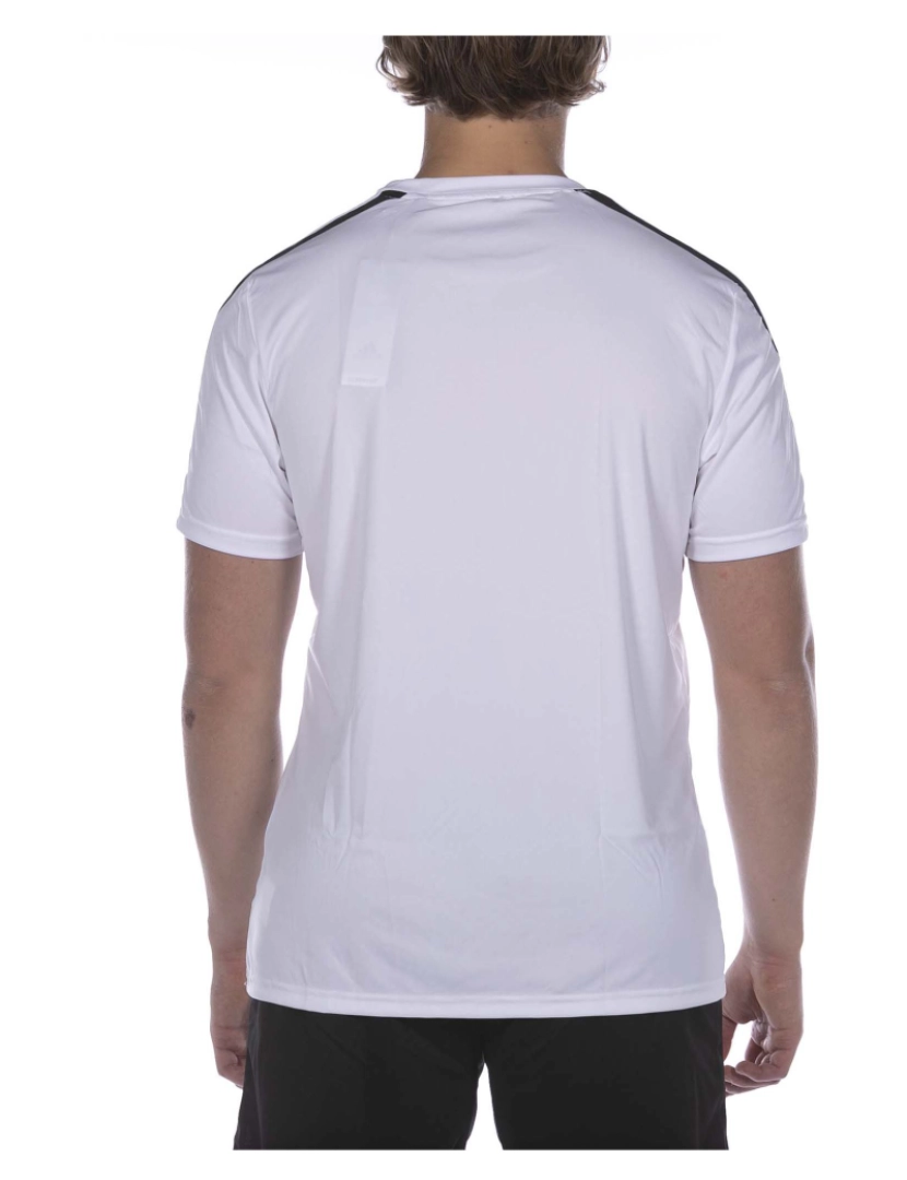 imagem de T-Shirt Adidas Sport Squad 21 Jsy Ss Branco3