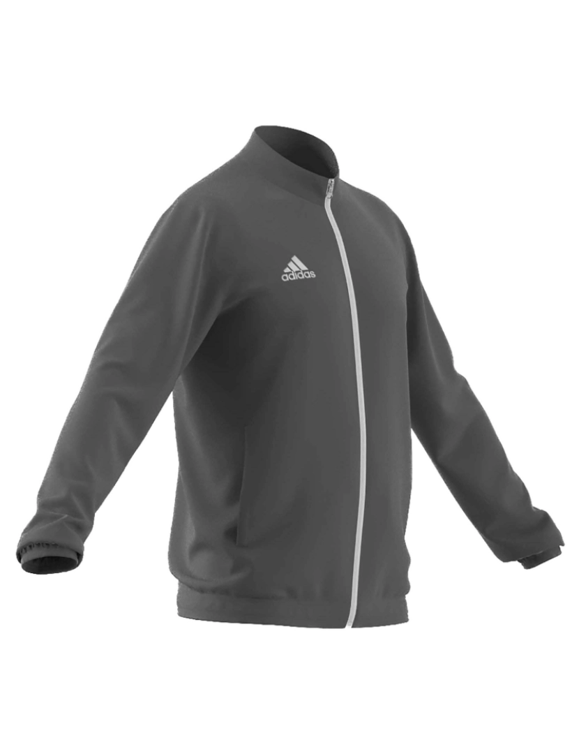 imagem de Camisola Adidas Sport Ent22 Tegrfo Cinzento2