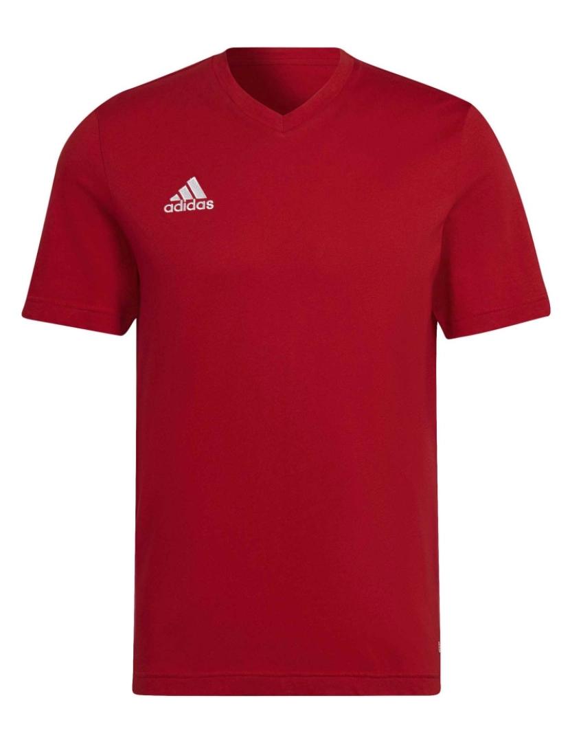 Adidas Sport - Camiseta Adidas Sport Ent22