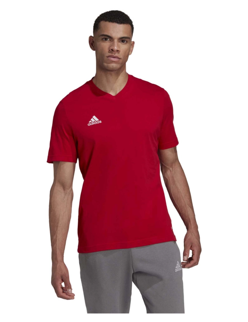 imagem de Camiseta Adidas Sport Ent222