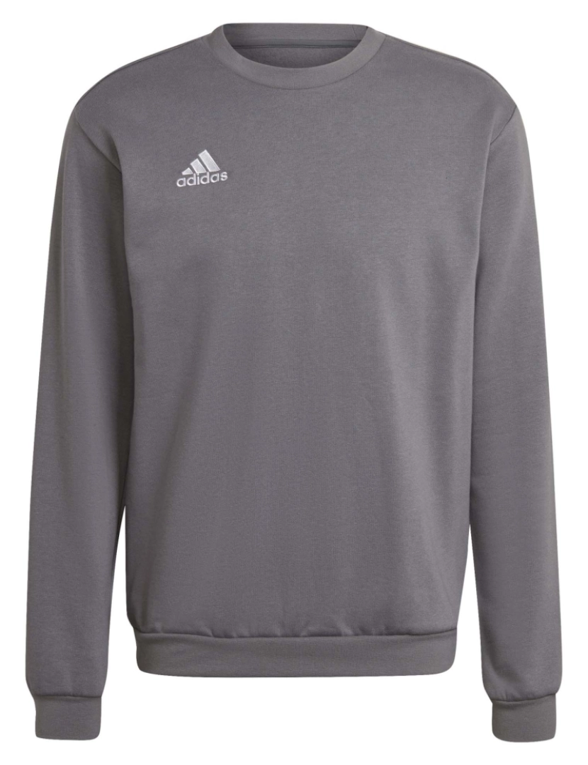 Adidas Sport - Adidas Sport Ent22 Sw Top Sweatshirt