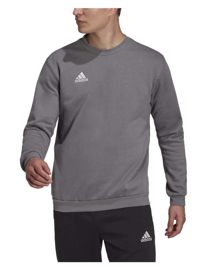 imagem de Adidas Sport Ent22 Sw Top Sweatshirt2