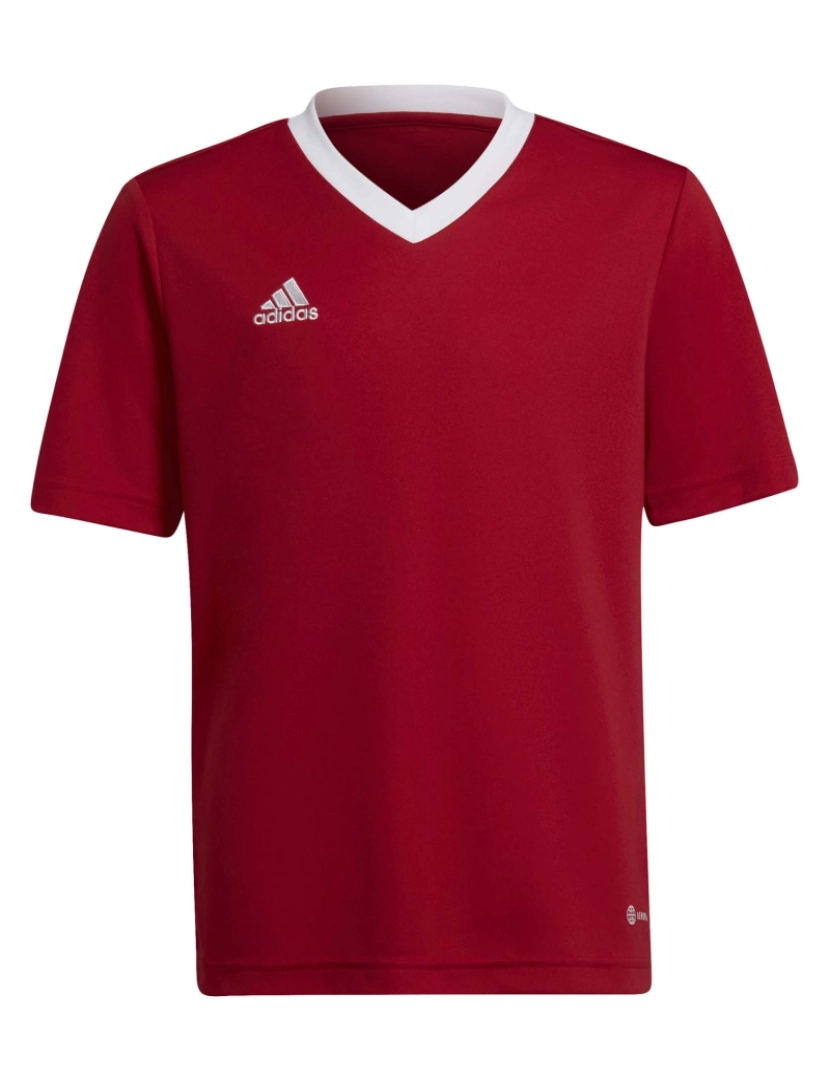 Adidas Sport - T-Shirt Adidas Sport Ent22 Jsy Y Warmth