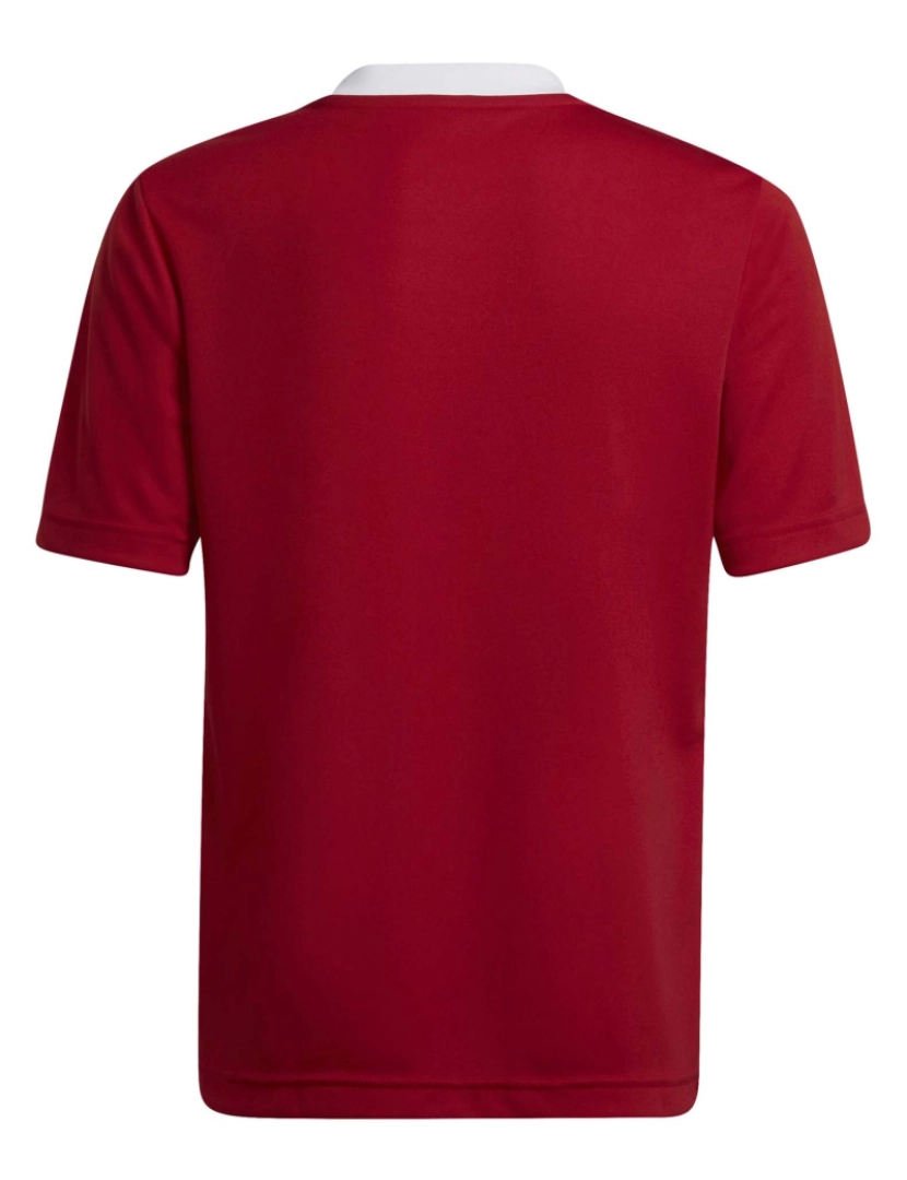 imagem de T-Shirt Adidas Sport Ent22 Jsy Y Warmth2