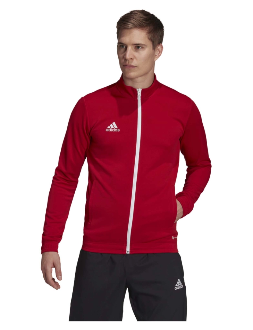 imagem de Adidas Sport Ent22 Tk Jkt Camisola Quente2