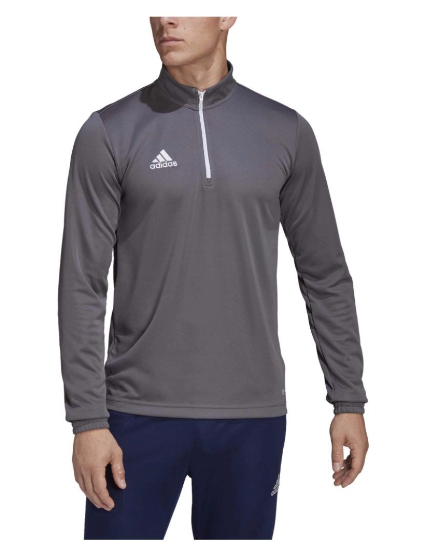 imagem de Adidas Sport Ent22 Tr Top Sweatshirt Tegrfo2