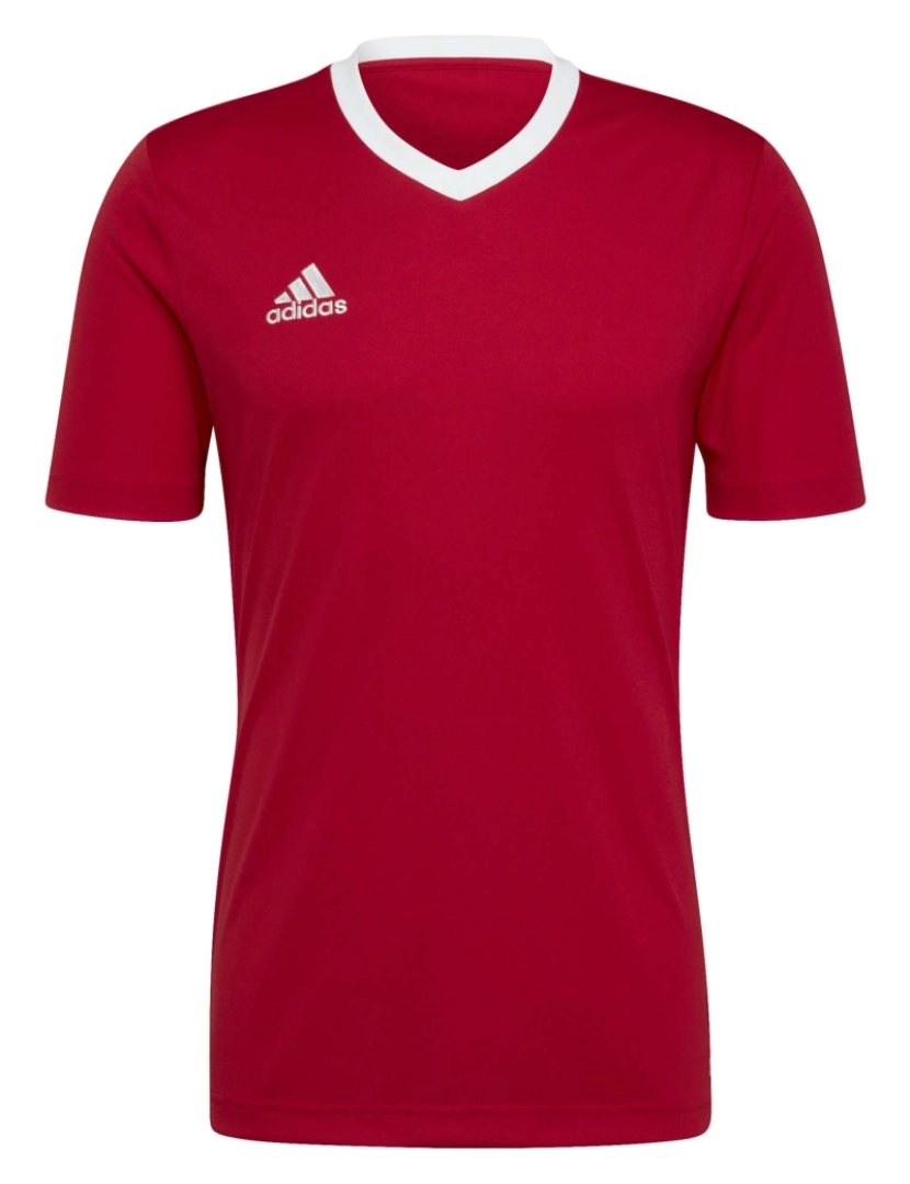 imagem de Camiseta Adidas Sport Ent22 Jsy Warmth1
