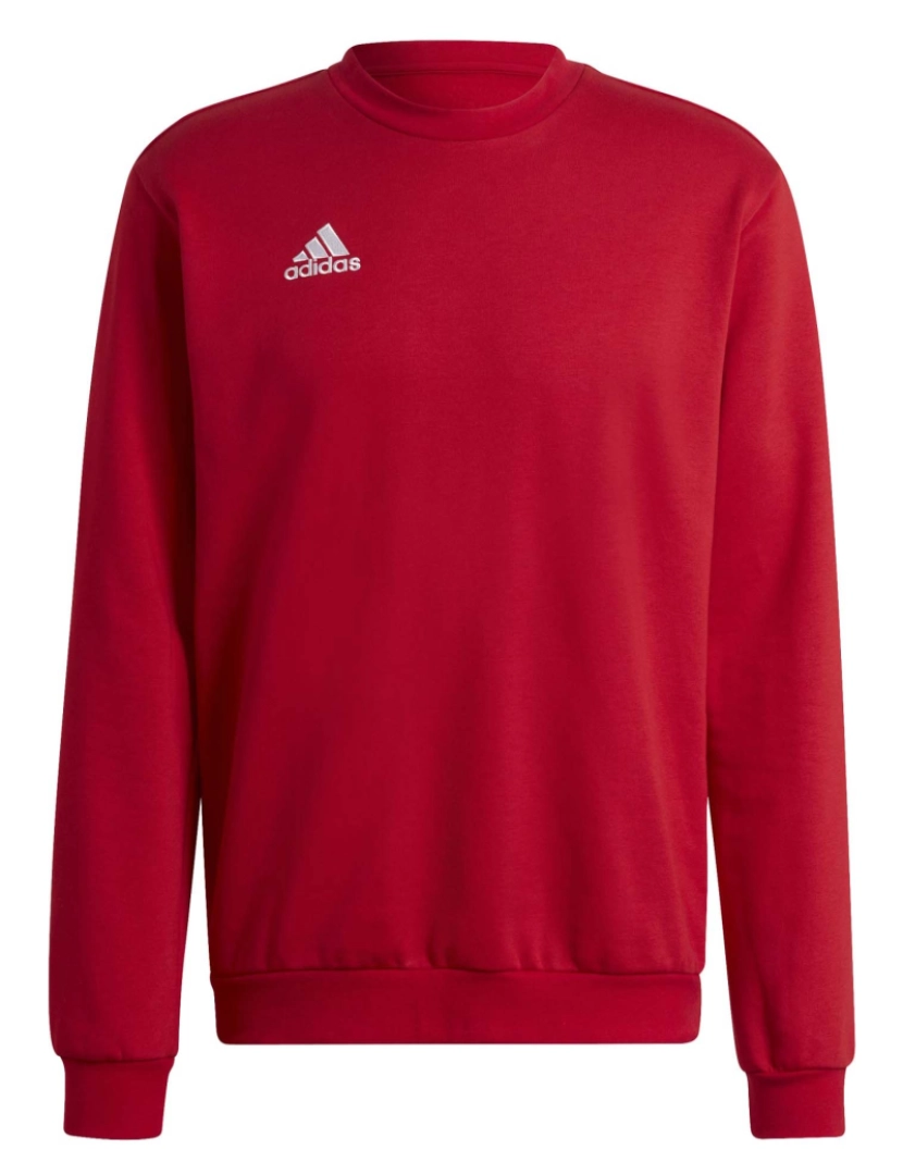 Adidas Sport - Adidas Sport Ent22 Sw Top Sweatshirt Quente