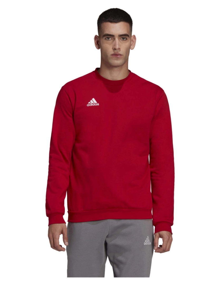 imagem de Adidas Sport Ent22 Sw Top Sweatshirt Quente2