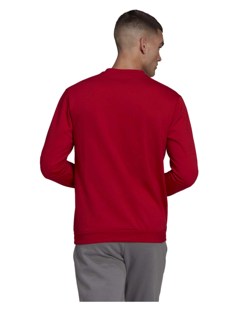 imagem de Adidas Sport Ent22 Sw Top Sweatshirt Quente3