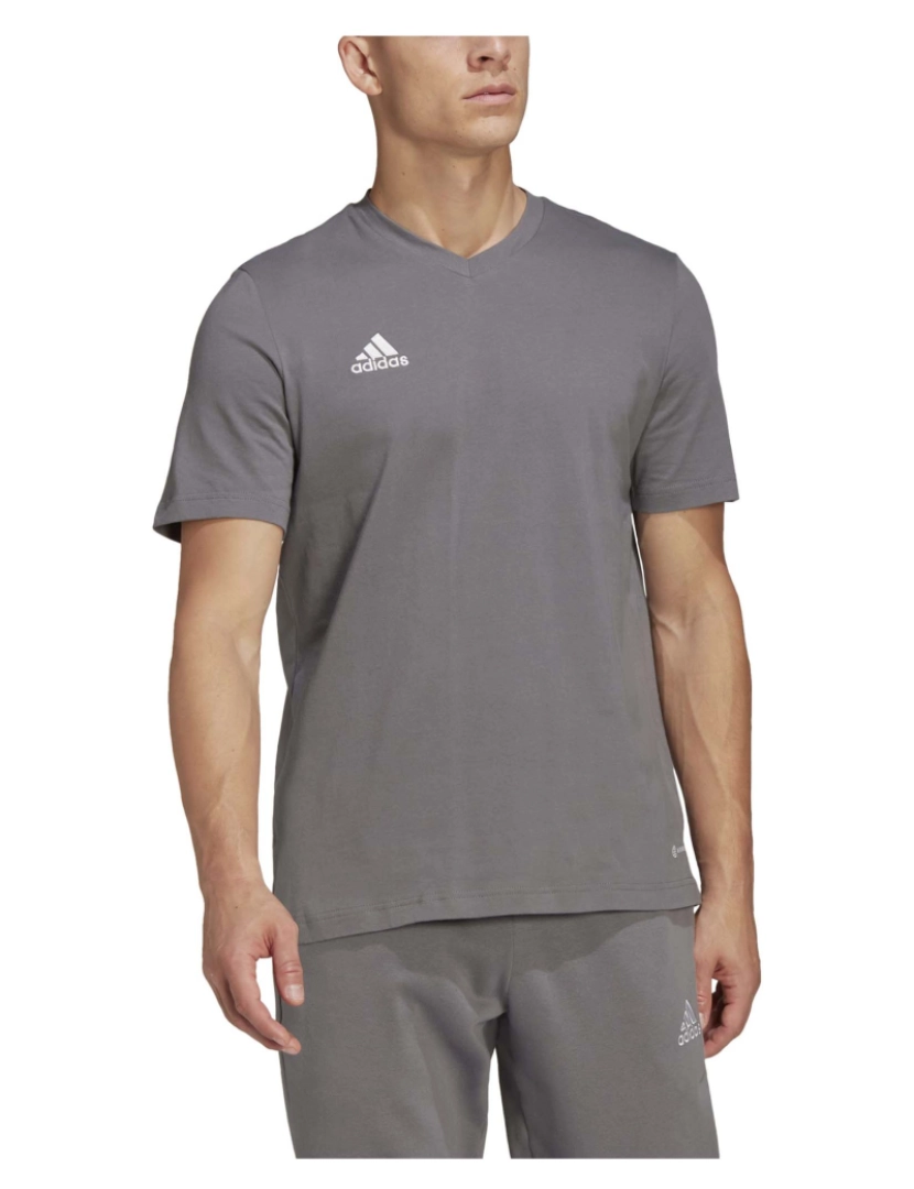 imagem de T-Shirt Adidas Sport Ent22 Tee Tegrfo2