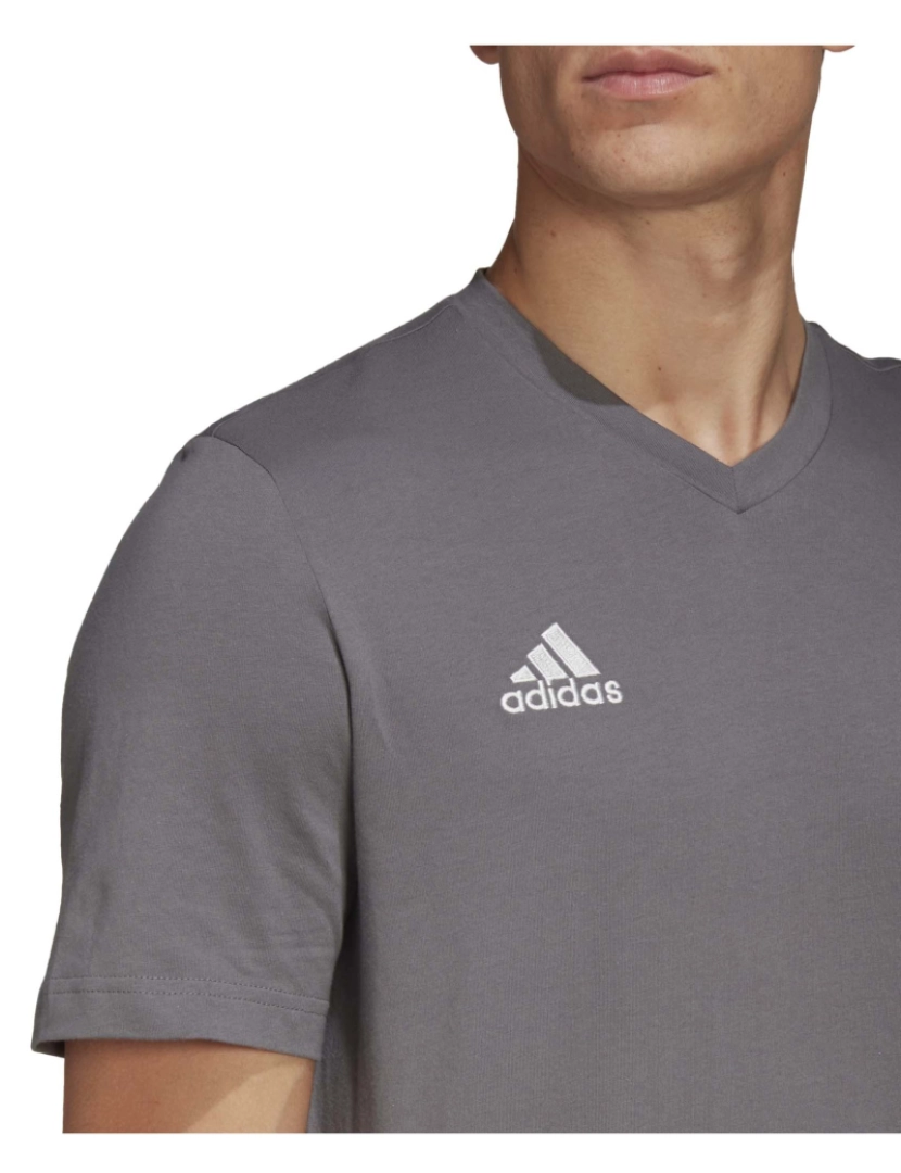 imagem de T-Shirt Adidas Sport Ent22 Tee Tegrfo4