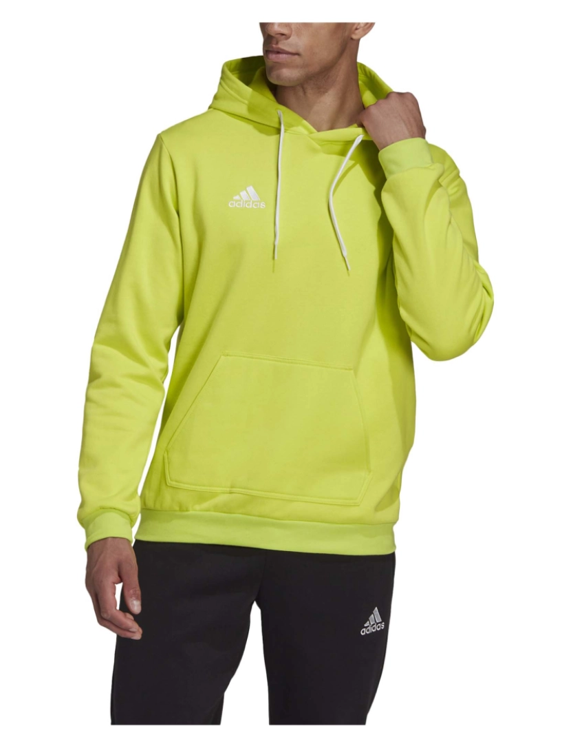 imagem de Adidas Sport Ent22 Hoody Tmssye Camisola Verde2