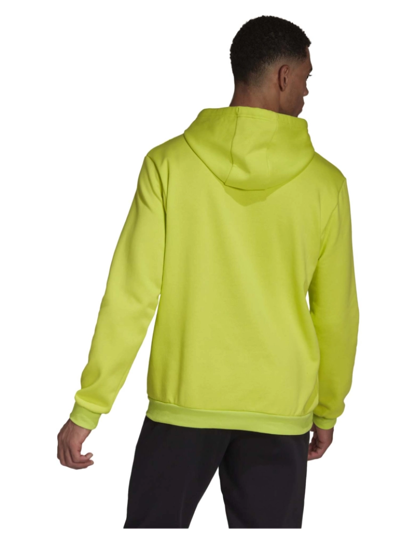 imagem de Adidas Sport Ent22 Hoody Tmssye Camisola Verde3