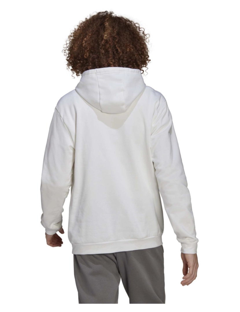 imagem de Adidas Sport Ent22 Hoody Branco/Azul Sweatshirt3